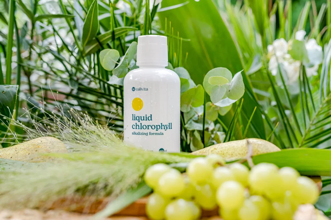 KLOROFILIN LIQUID CHLOROPHYLL - zaštitnik stanice INBALANCE