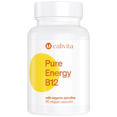 Pure Energy B12